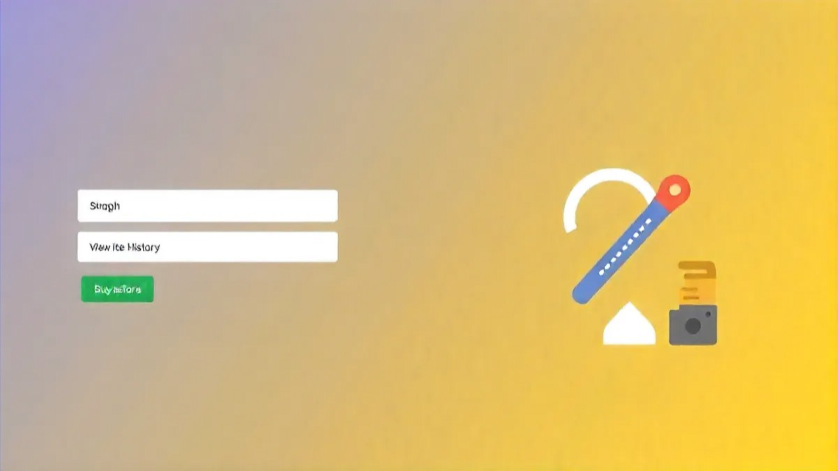 how to remove website history from google